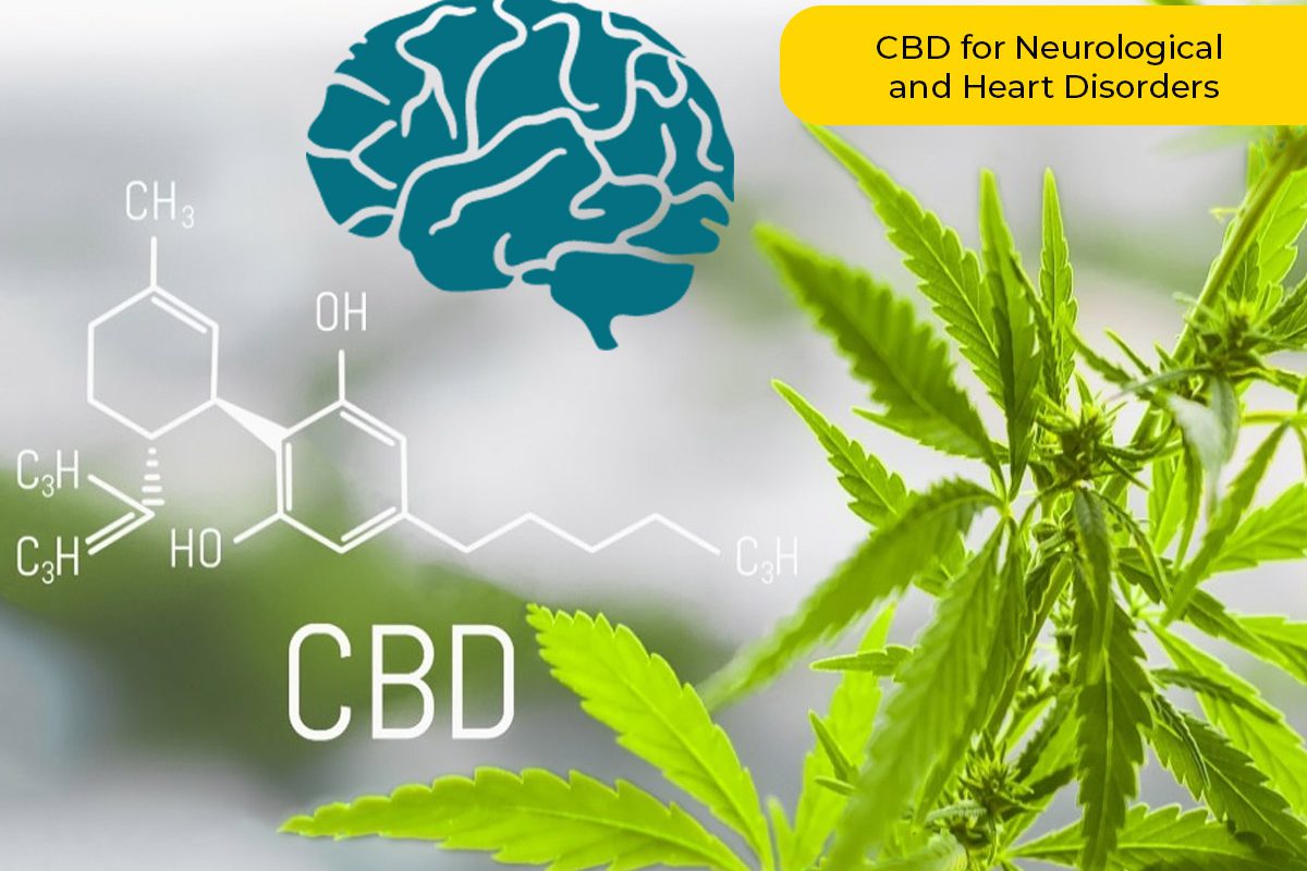 CBD for Neurological and Heart Disorders