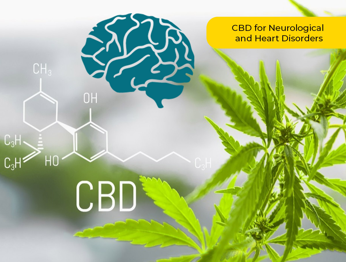 CBD for Neurological and Heart Disorders