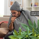 Can CBD Treat the Flu?