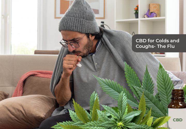 Can CBD Treat the Flu?