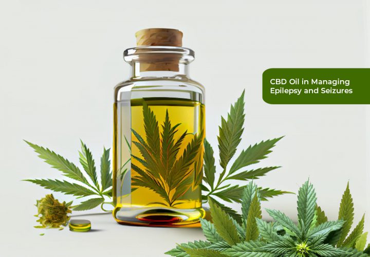 CBD Oil