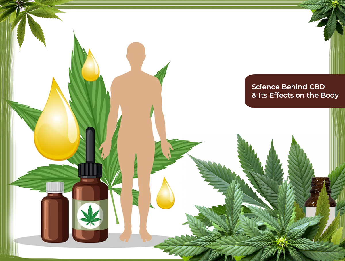 Science Behind CBD